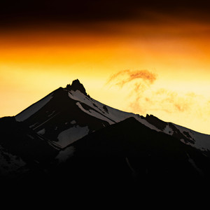 陪读又大又白的屁股眼
